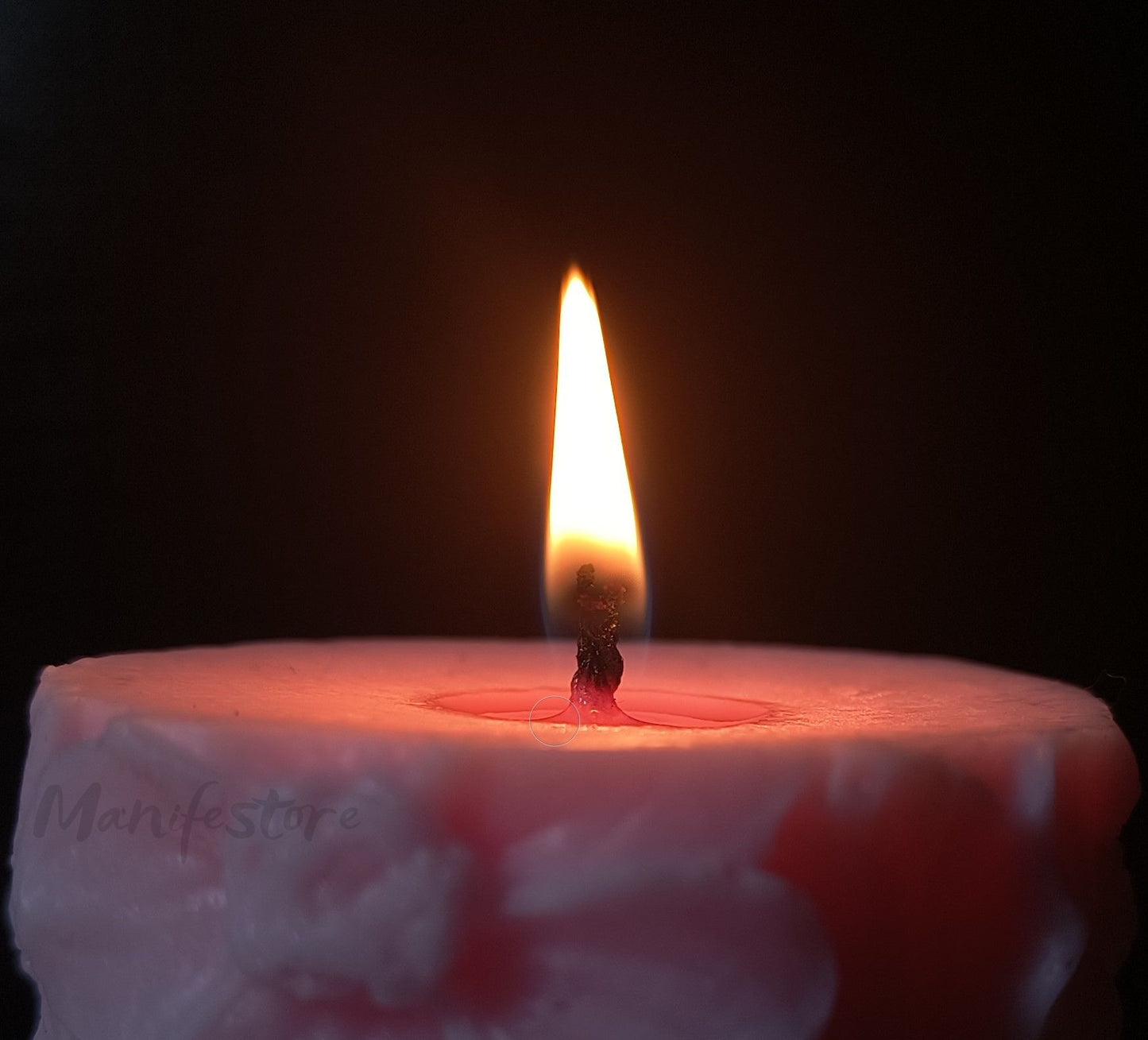 Lumino Flora